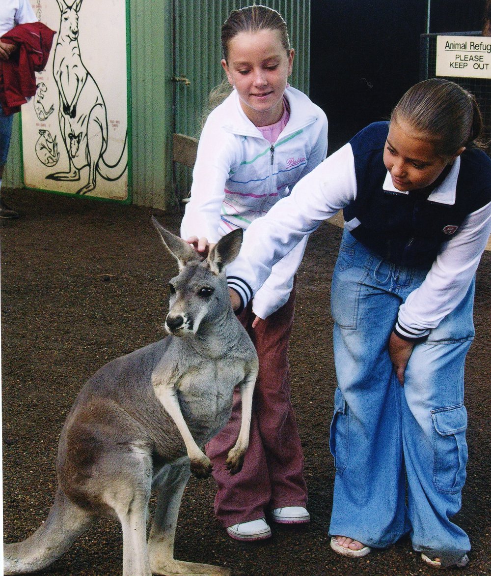 Featherdale Wildlife Park, Doonside
