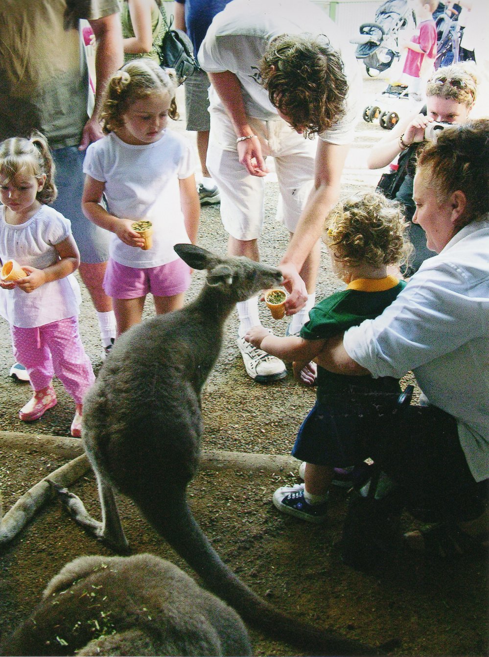 Featherdale Wildlife Park, Doonside