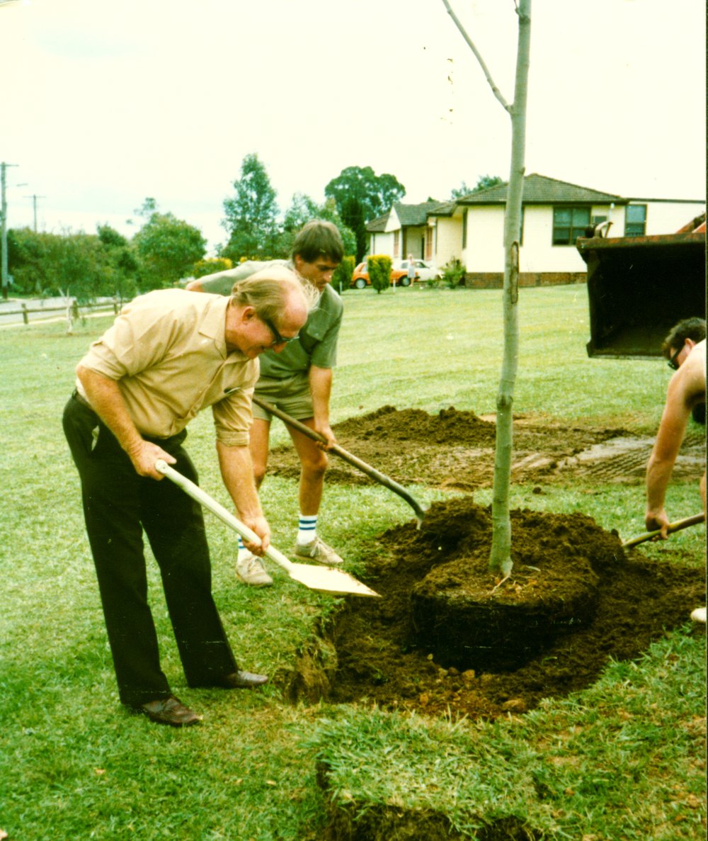Stuart Mould Park - tree planting