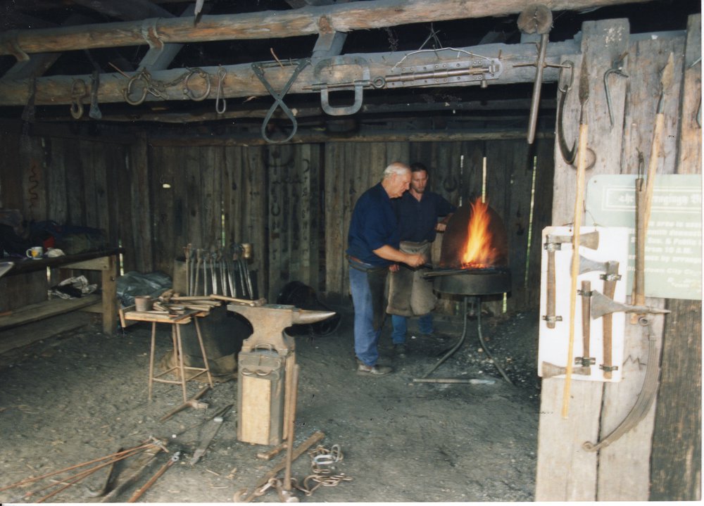 Blacksmith at Nurragingy Reserve, Doonside