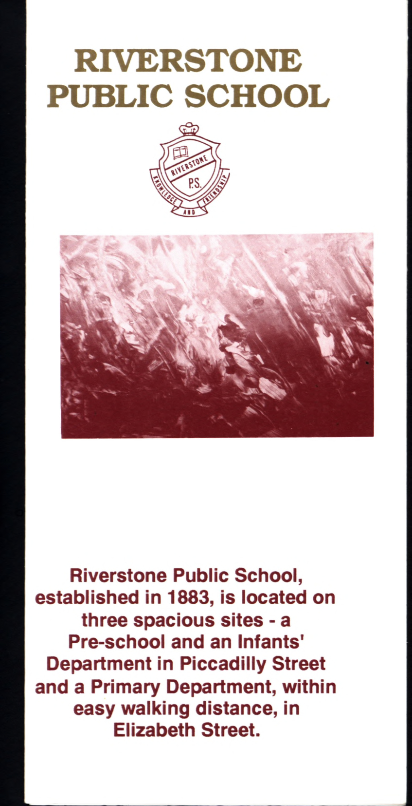 Riverstone Public School pamphlet