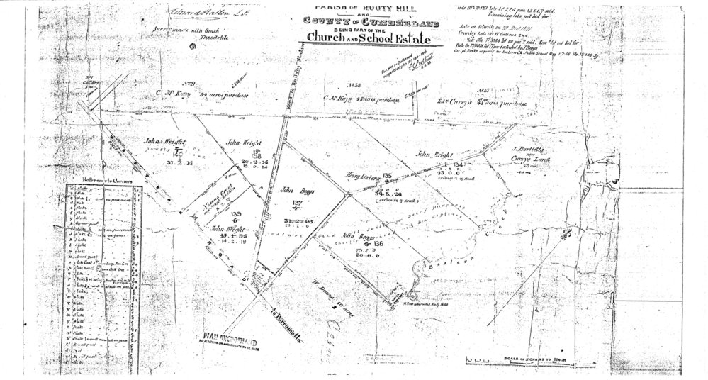 Parish of Rooty Hill and County of Cumberland being part of the Church and School Estate