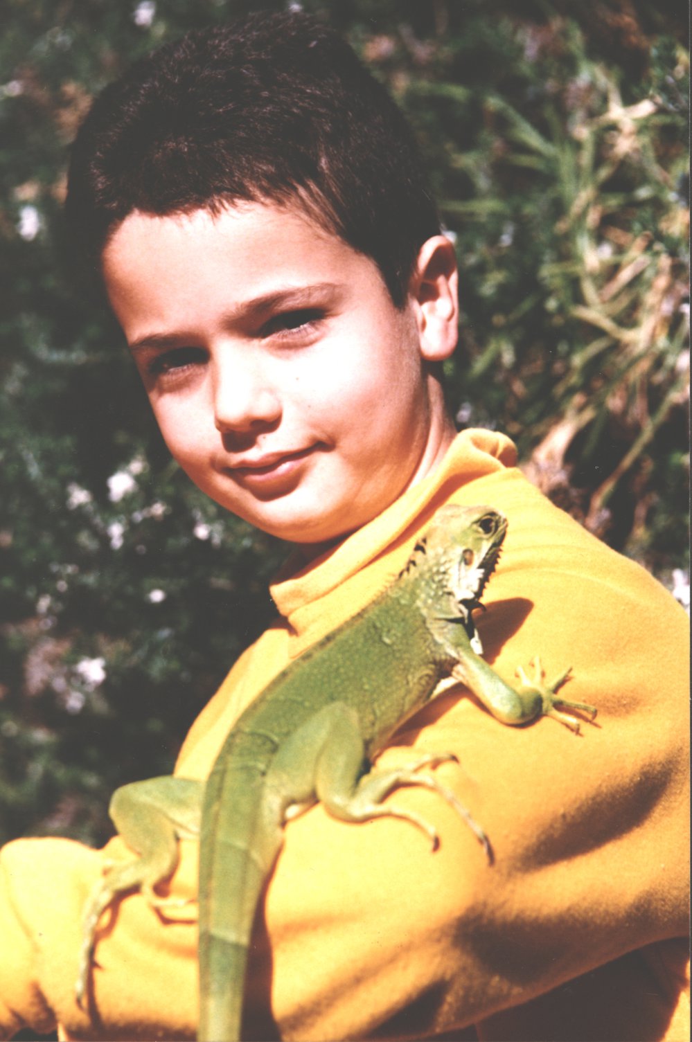 James Parlis, Blacktown North student with a green iguana