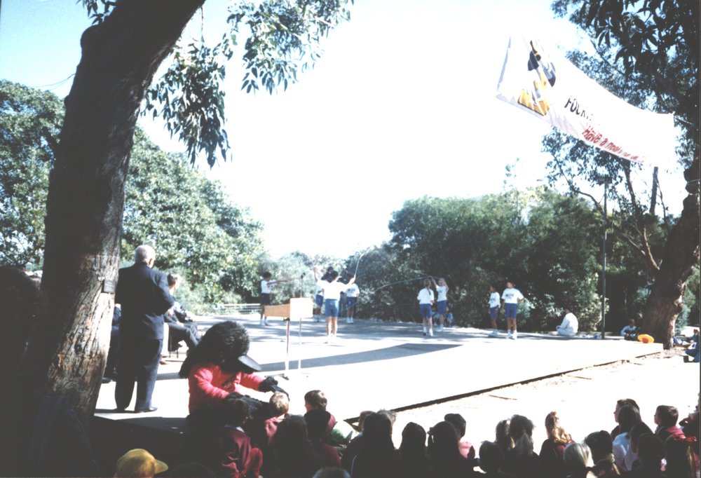1991 Blacktown City Games