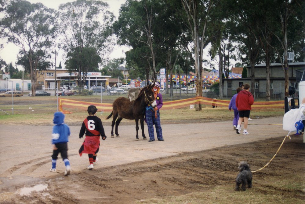 Blacktown City Festival, 1993