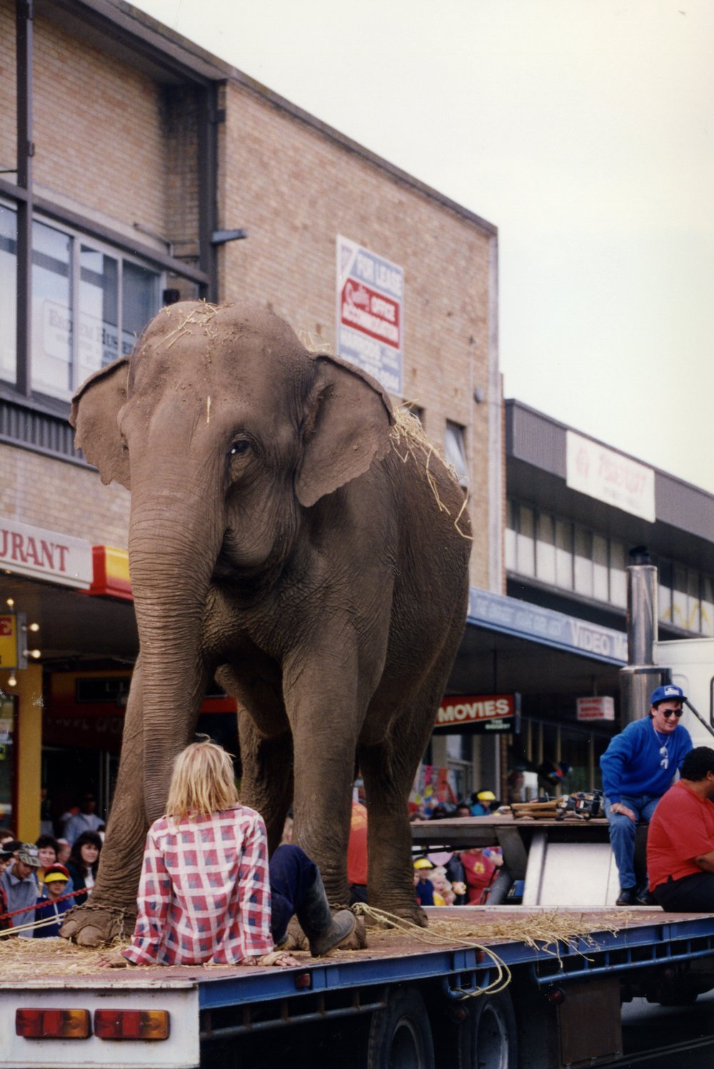 Blacktown City Festival, 1993