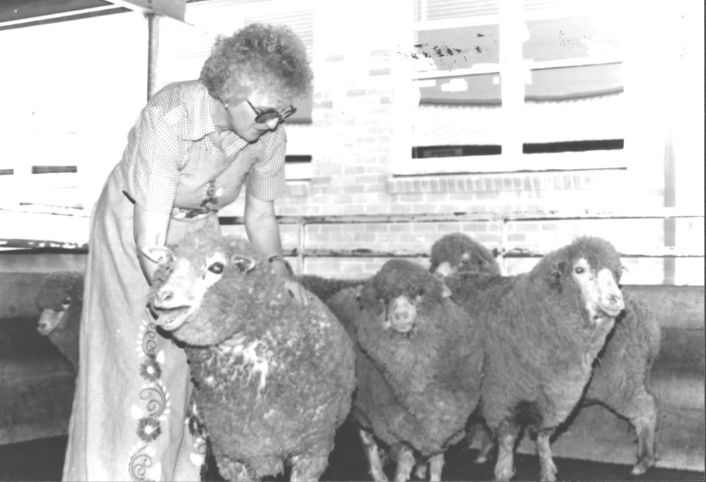 Anne Stichter, wool classing judge