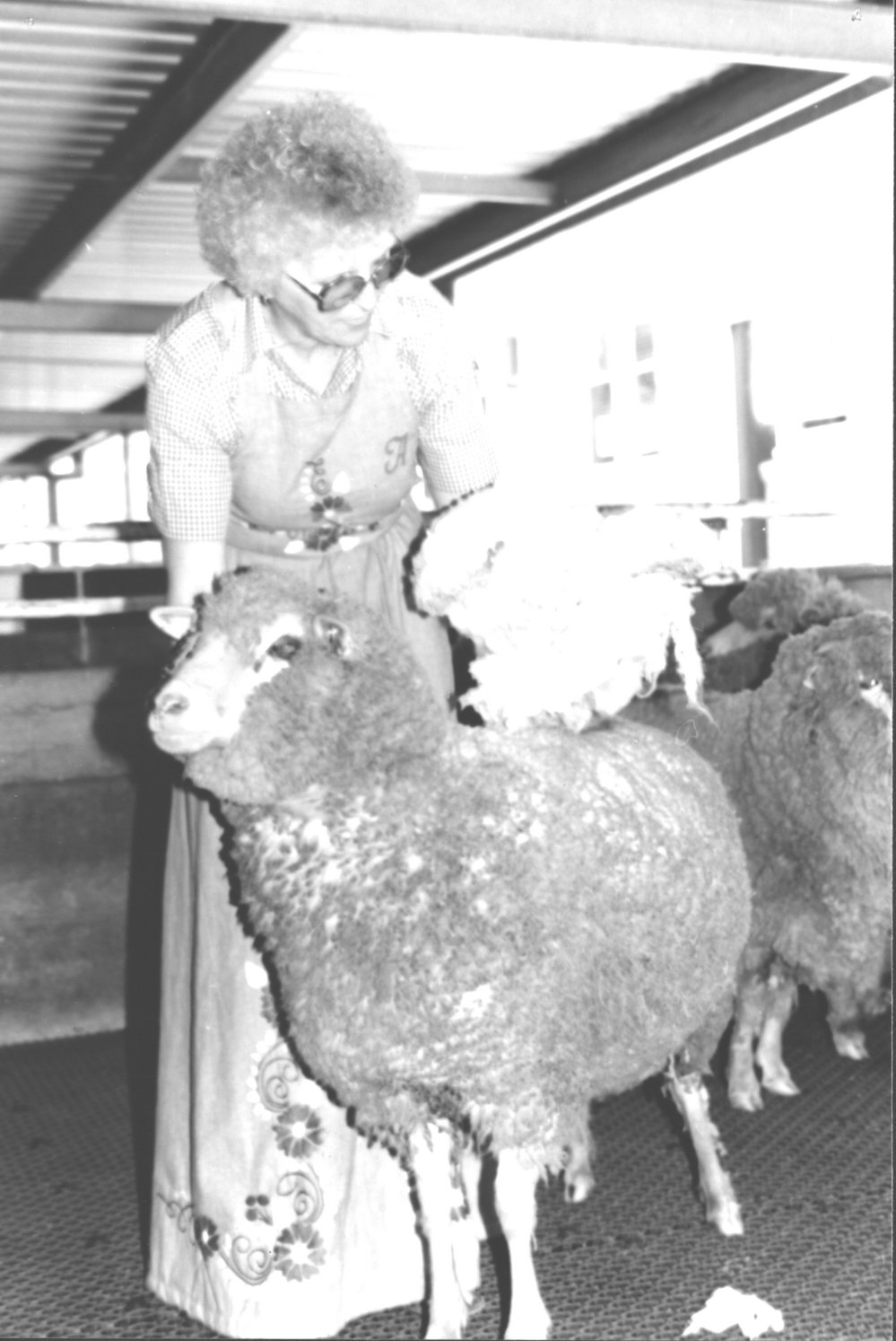 Anne Stichter, wool classing judge