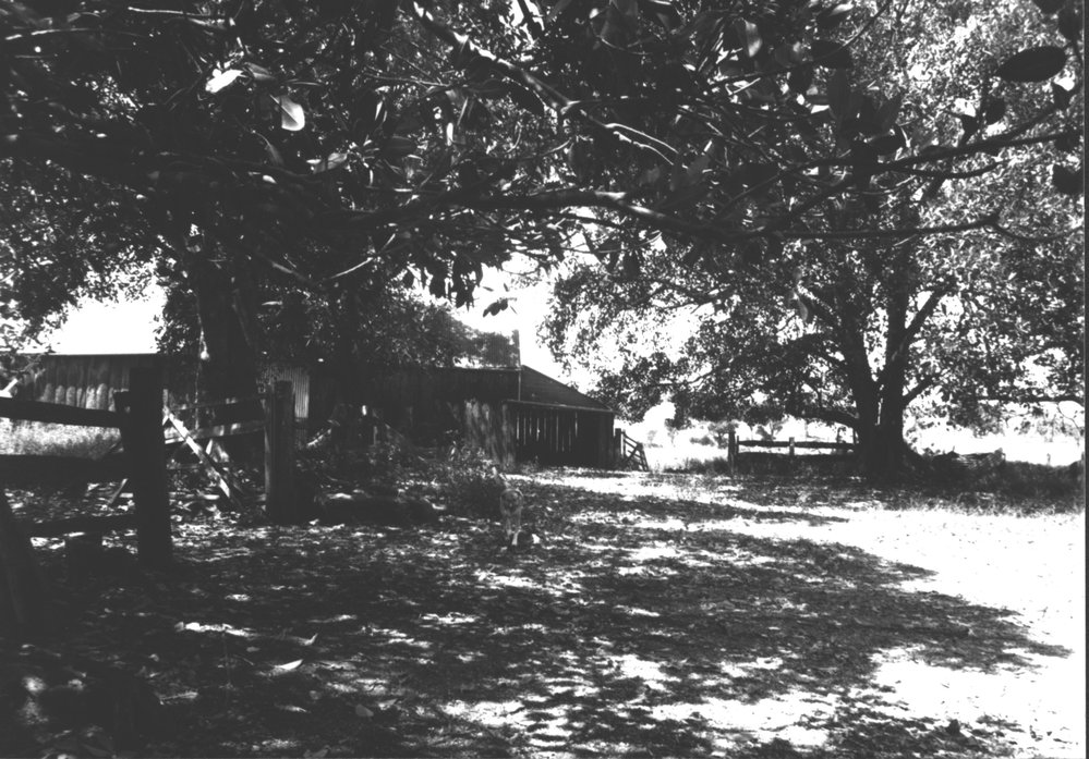 Bella Vista Farm, Bella Vista