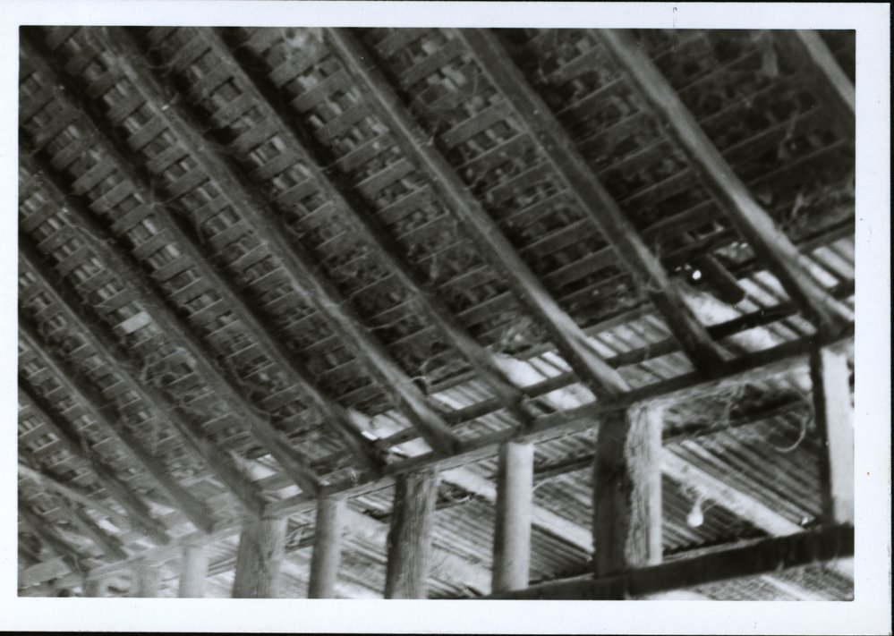 Bella Vista Farm stable ceiling, Bella Vista