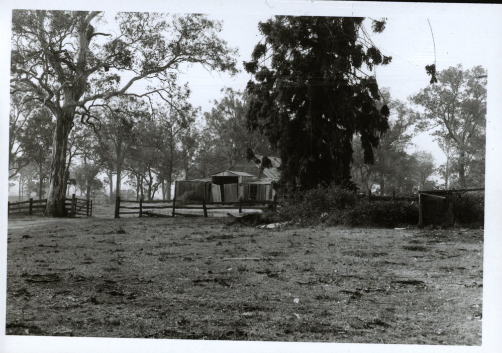 Bella Vista Farm, Bella Vista