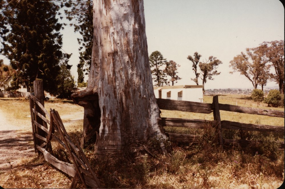 Bella Vista Farm, Bella Vista