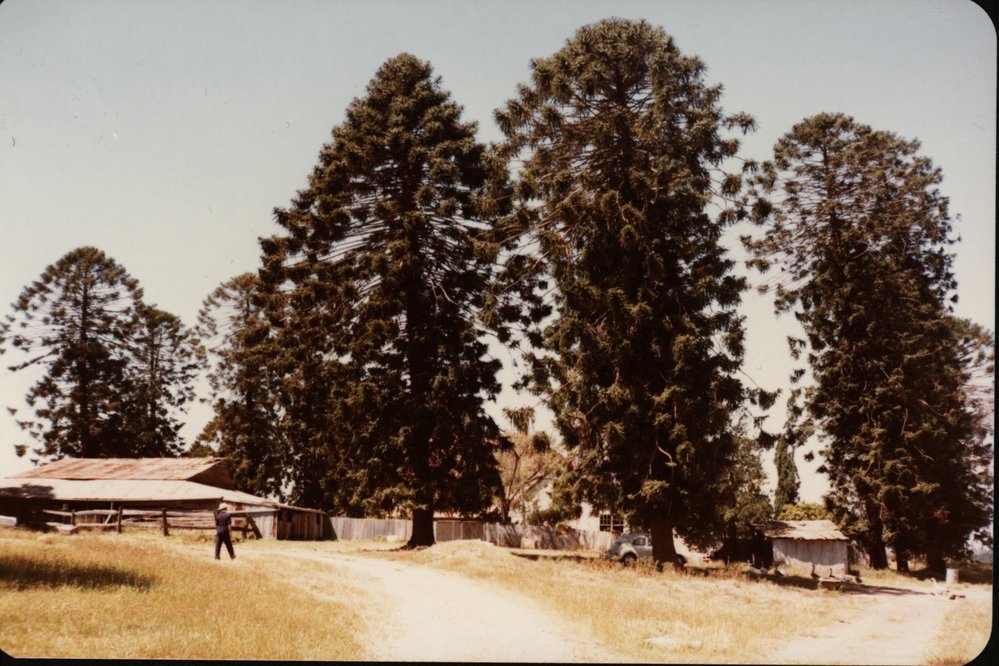 Bella Vista Farm coach house, Bella Vista