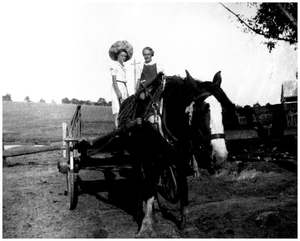 Peggy Gale in Mr George White's dray