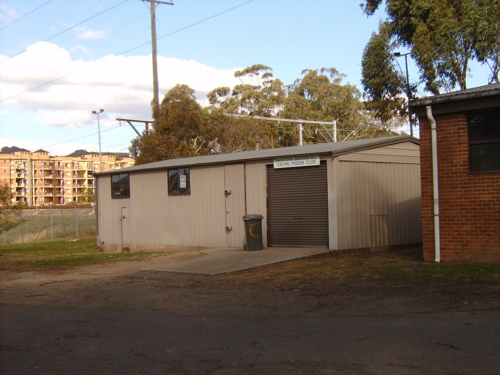 Blacktown Pigeon Club, Blacktown Showground