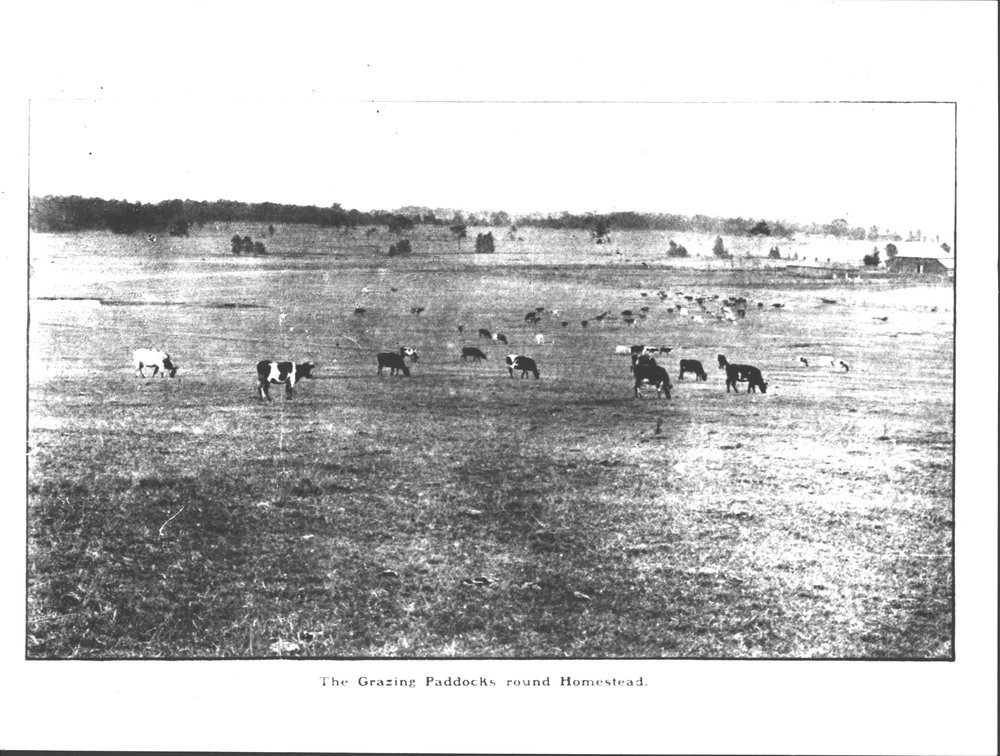 Bungarribee Estate sale brochure