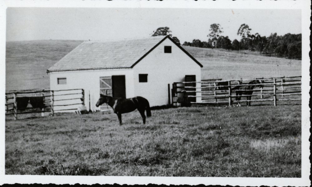 Bungarribee House, Doonside