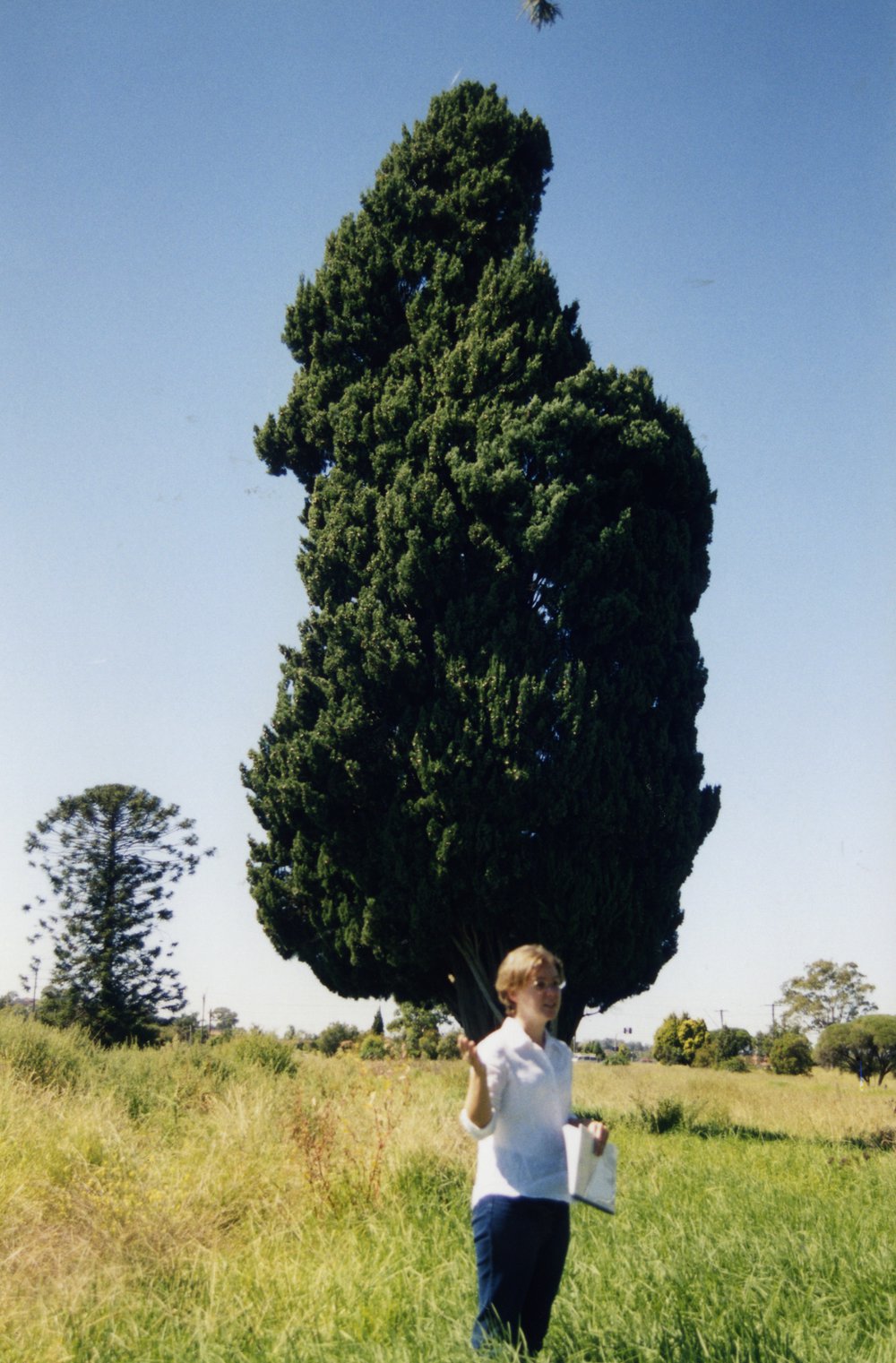 Bungarribee House site, Doonside