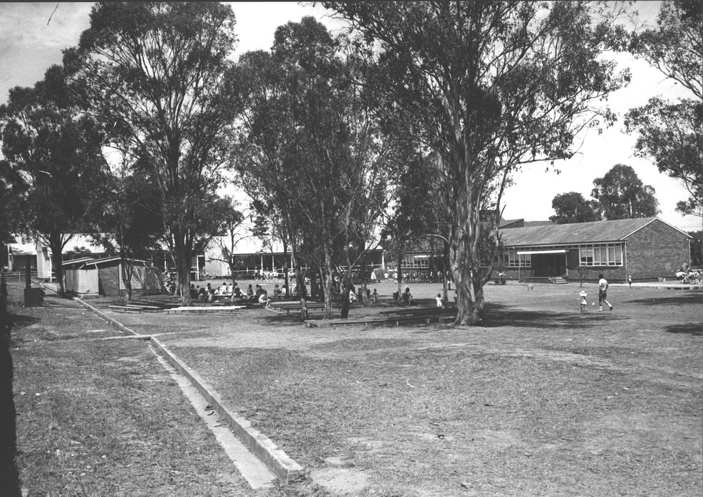 Colyton Public School