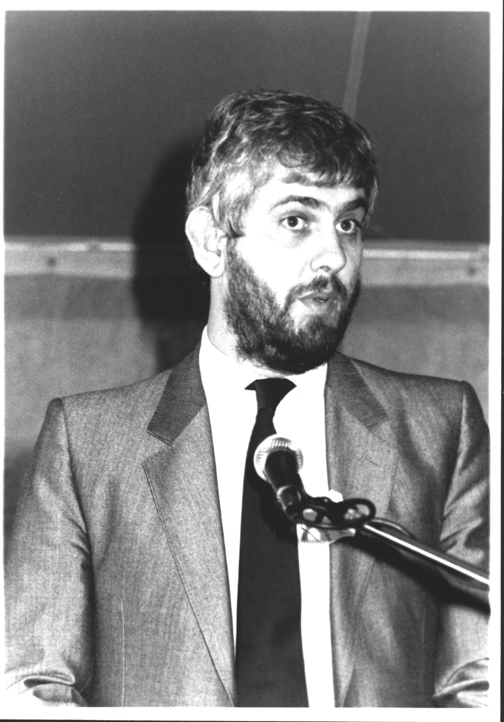 Commemorative ceremony for the Battle of Vinegar Hill