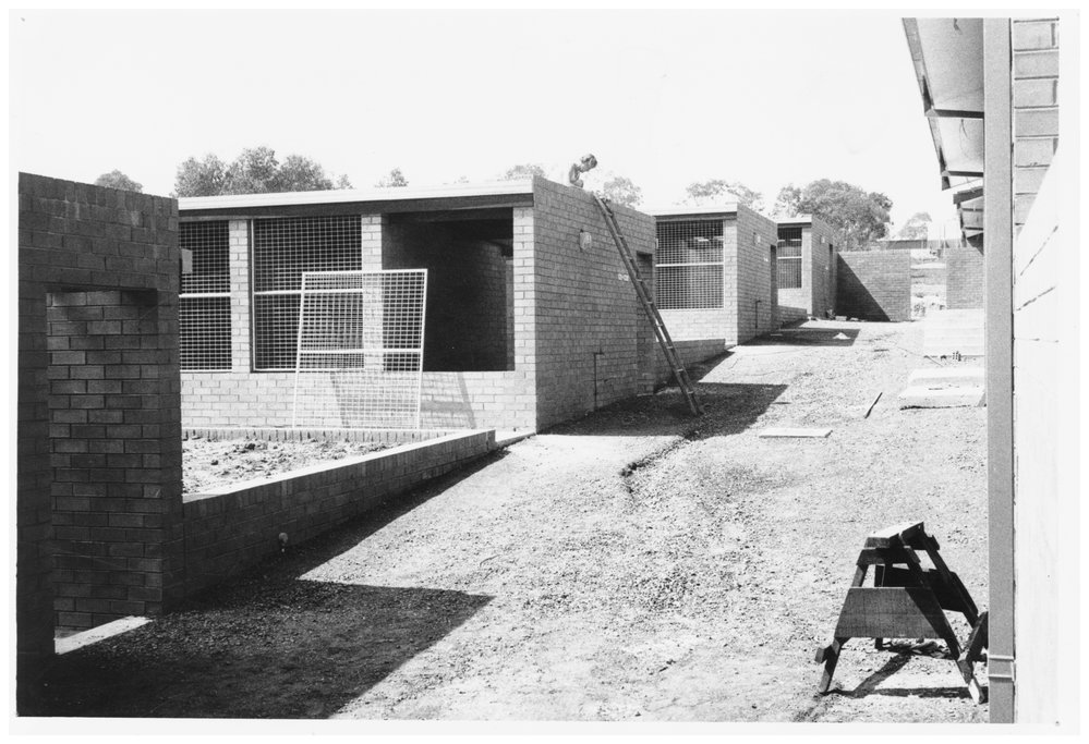 Animal Holding Facility, Great Western Highway, Blacktown