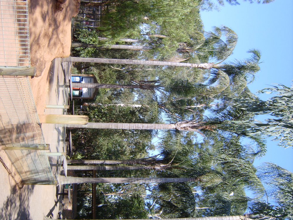 Featherdale Wildlife Park, Doonside