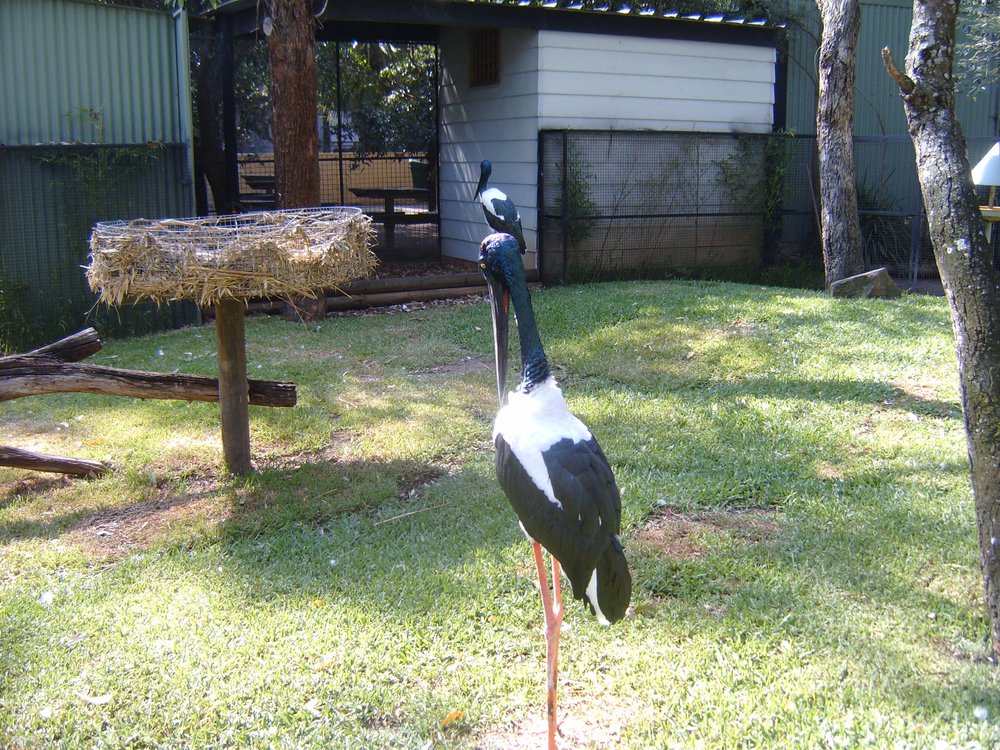 Featherdale Wildlife Park, Doonside