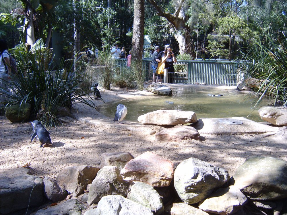 Featherdale Wildlife Park, Doonside