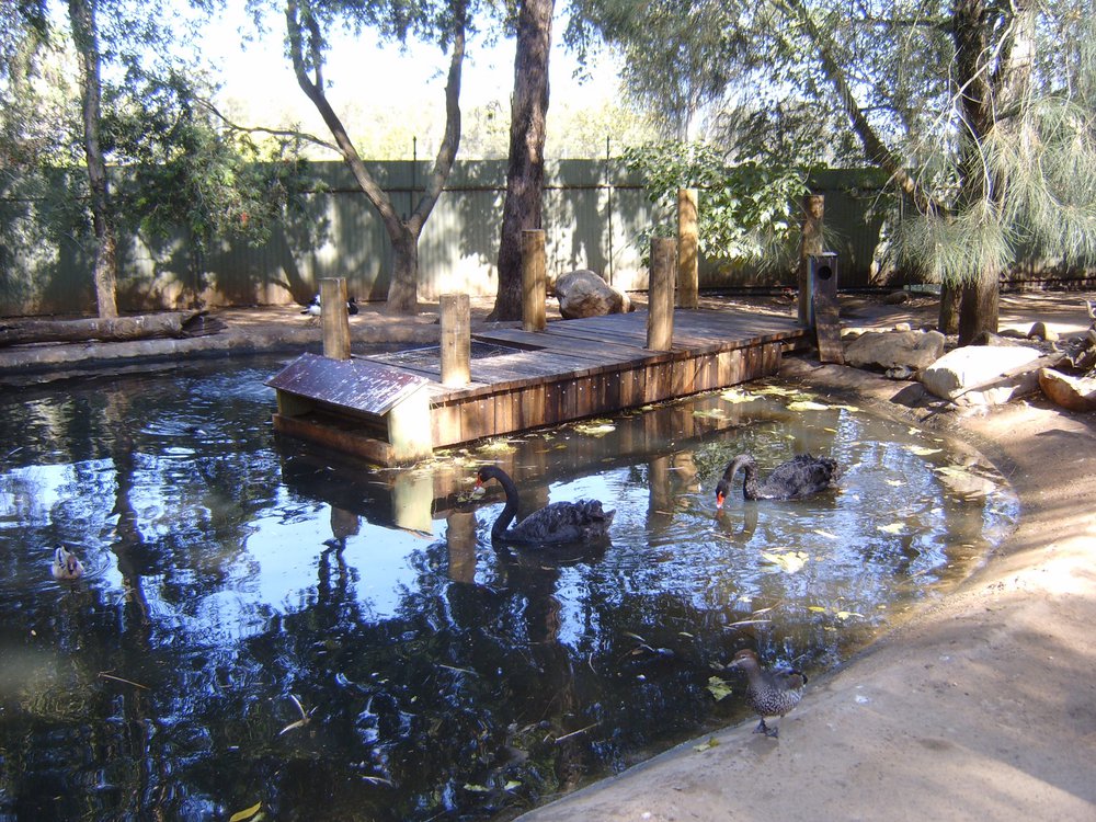 Featherdale Wildlife Park, Doonside
