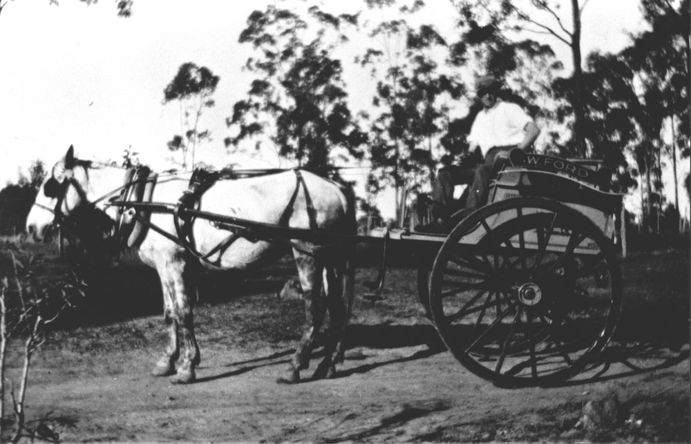 Horse and cart
