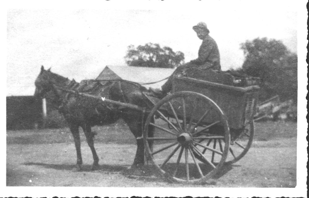 Horse and cart
