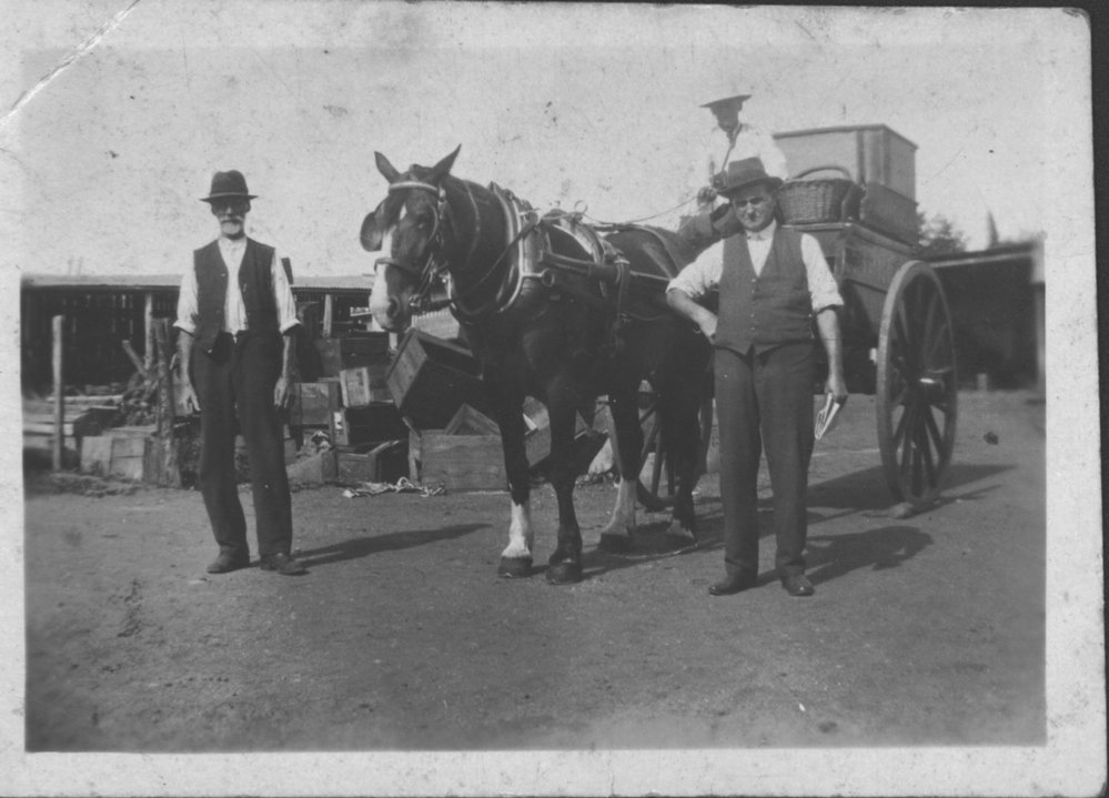 Horse and cart Delivery