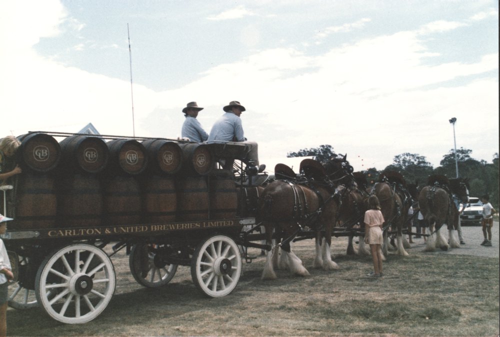 Horses and cart advertising Carlton and  United Breweries Limited