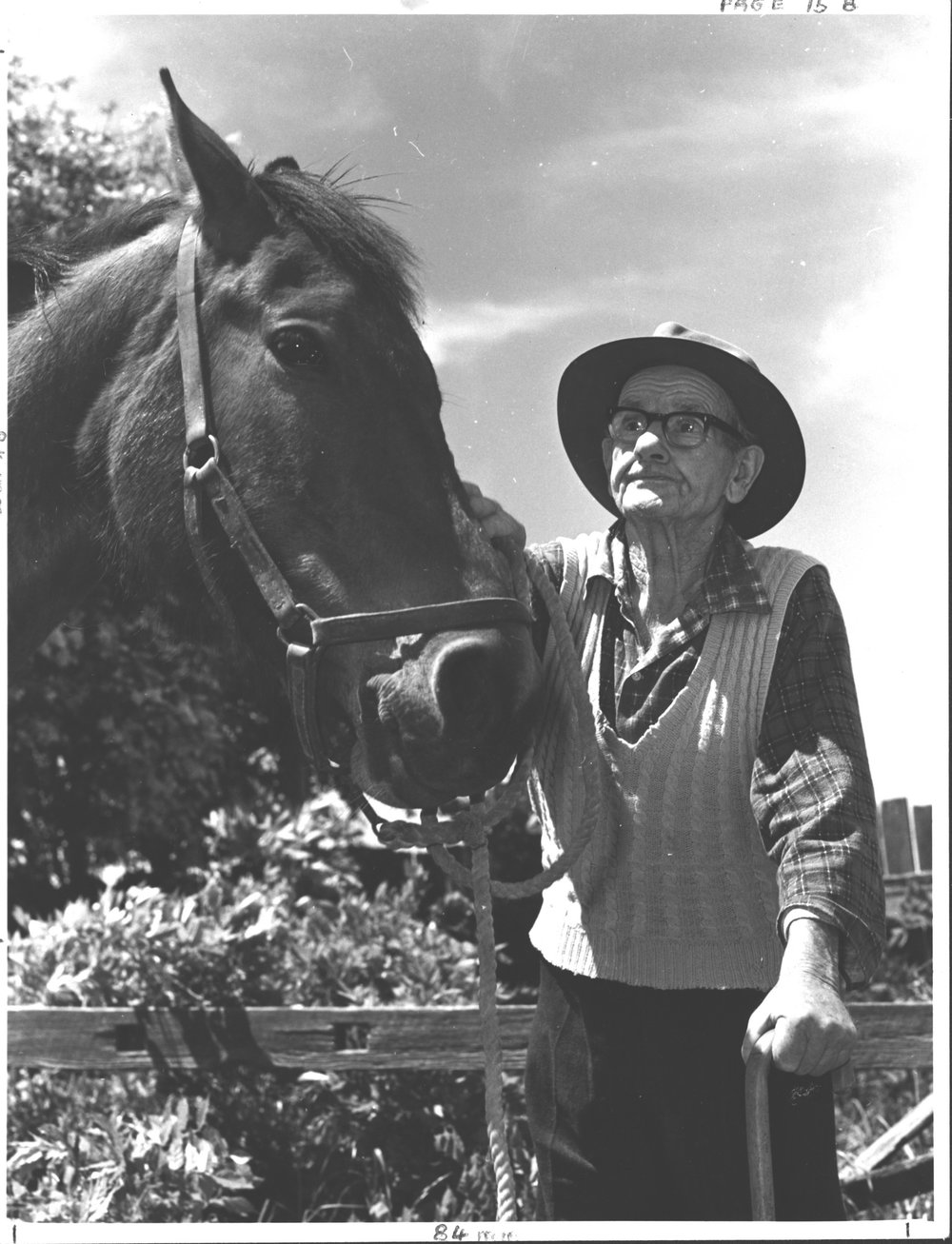 Jack Adams with his retired trotter Giselle's Raider