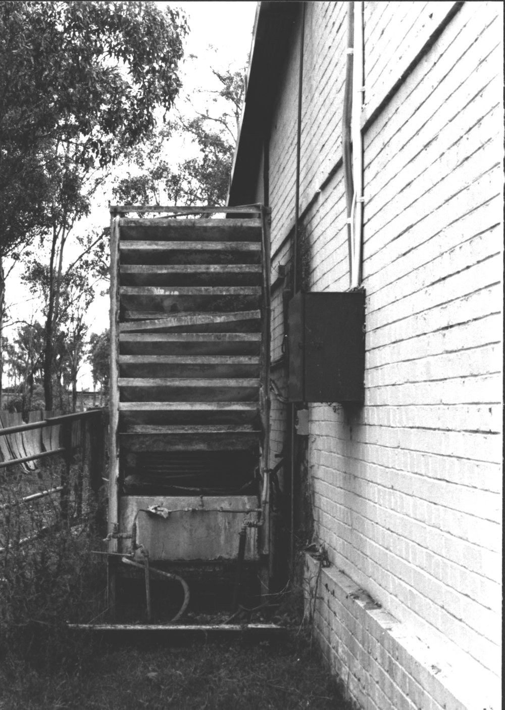 Knackery, Eastern Creek