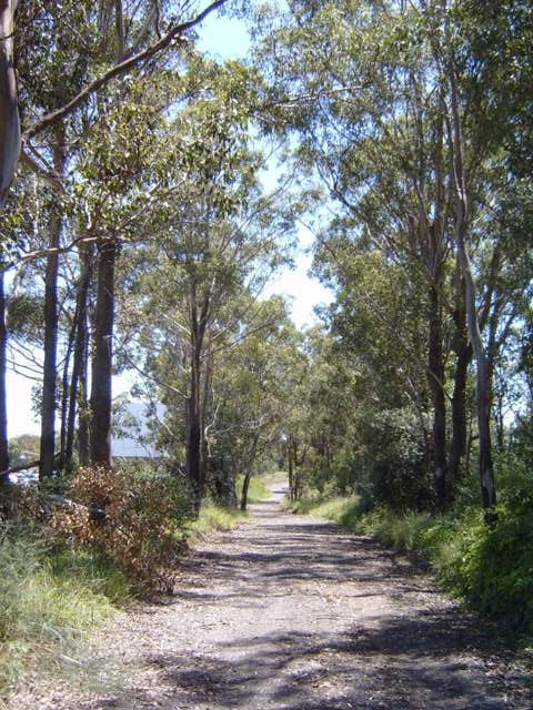Manning Street, Prospect
