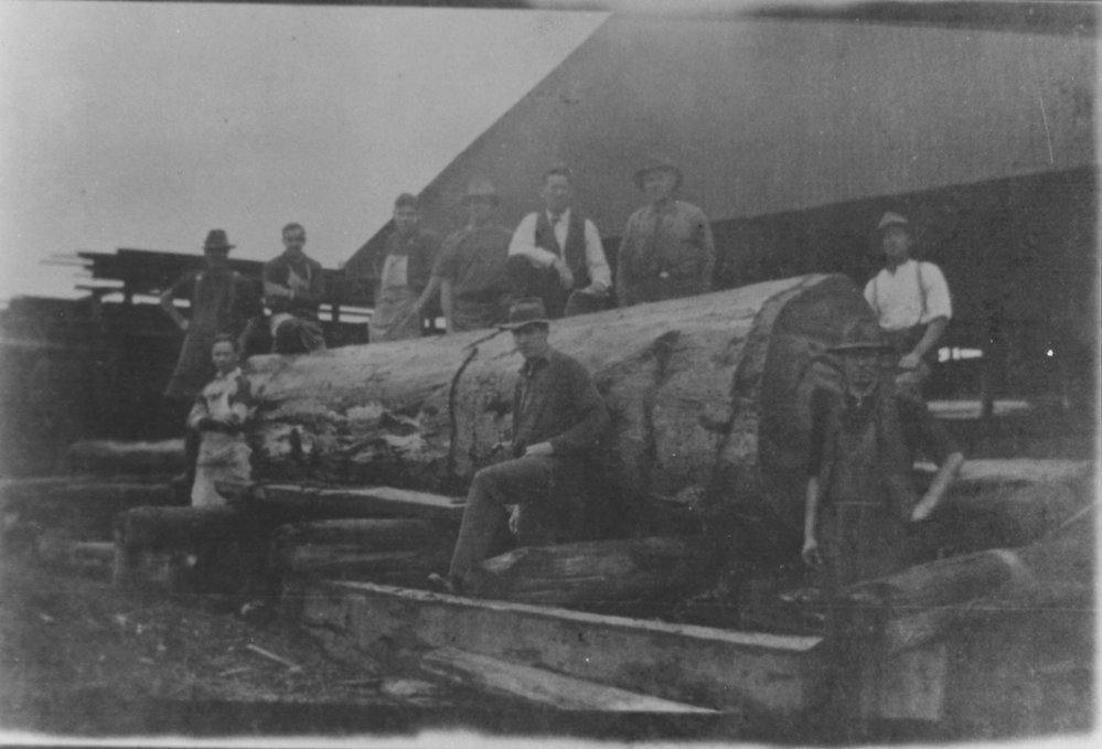 Michau's Timber Mill, Blacktown