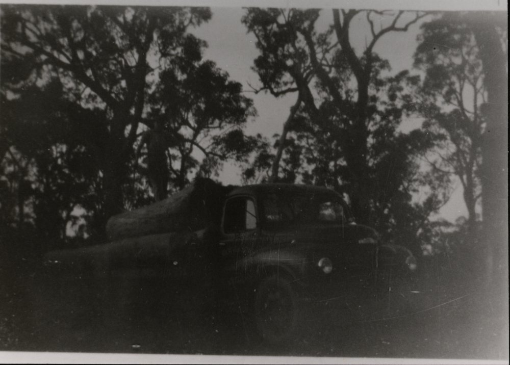 Michau's Timber Mill, Blacktown