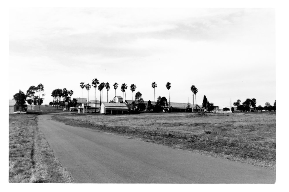 Minchinbury winery