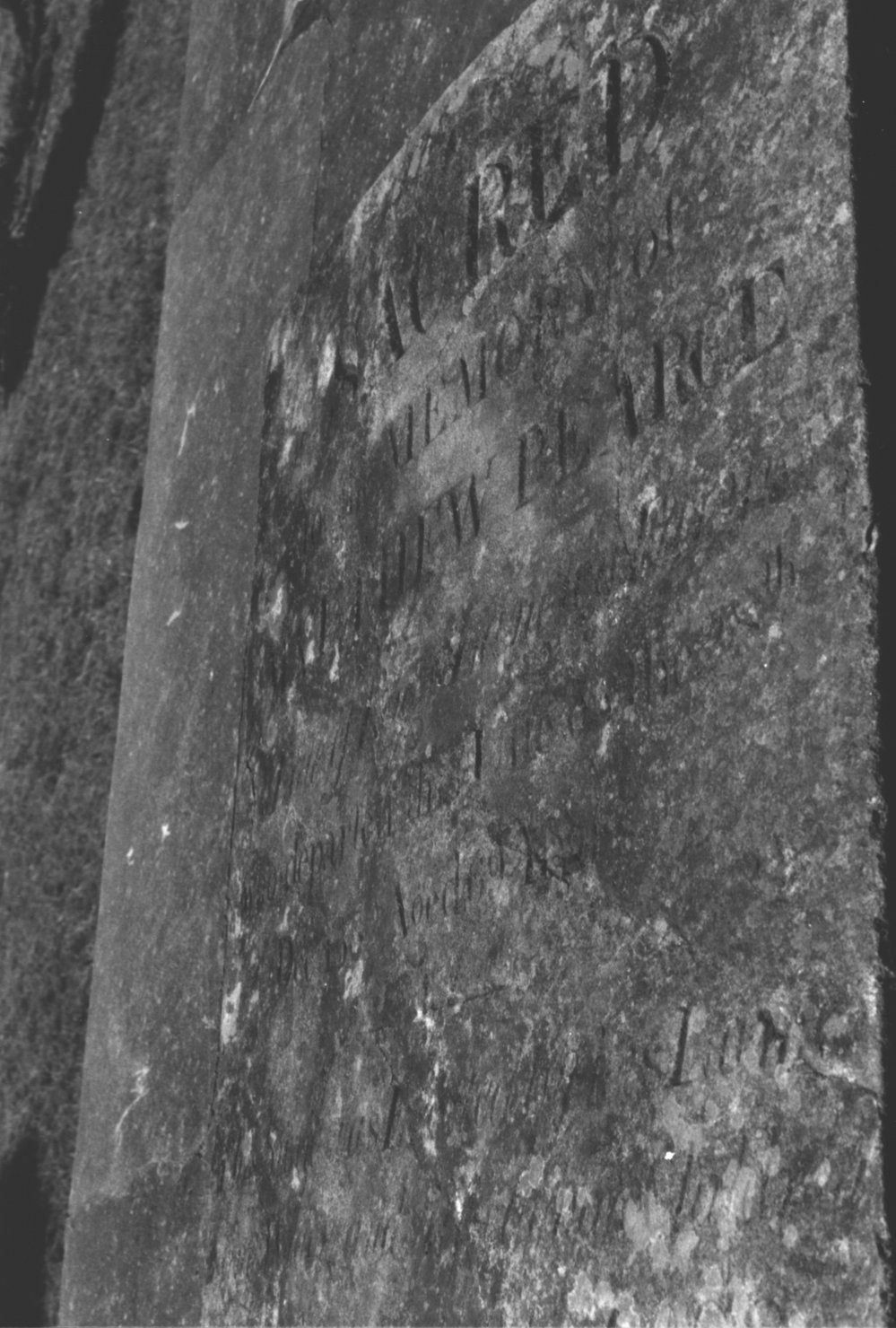 Pearce Family Cemetery, Baulkham Hills