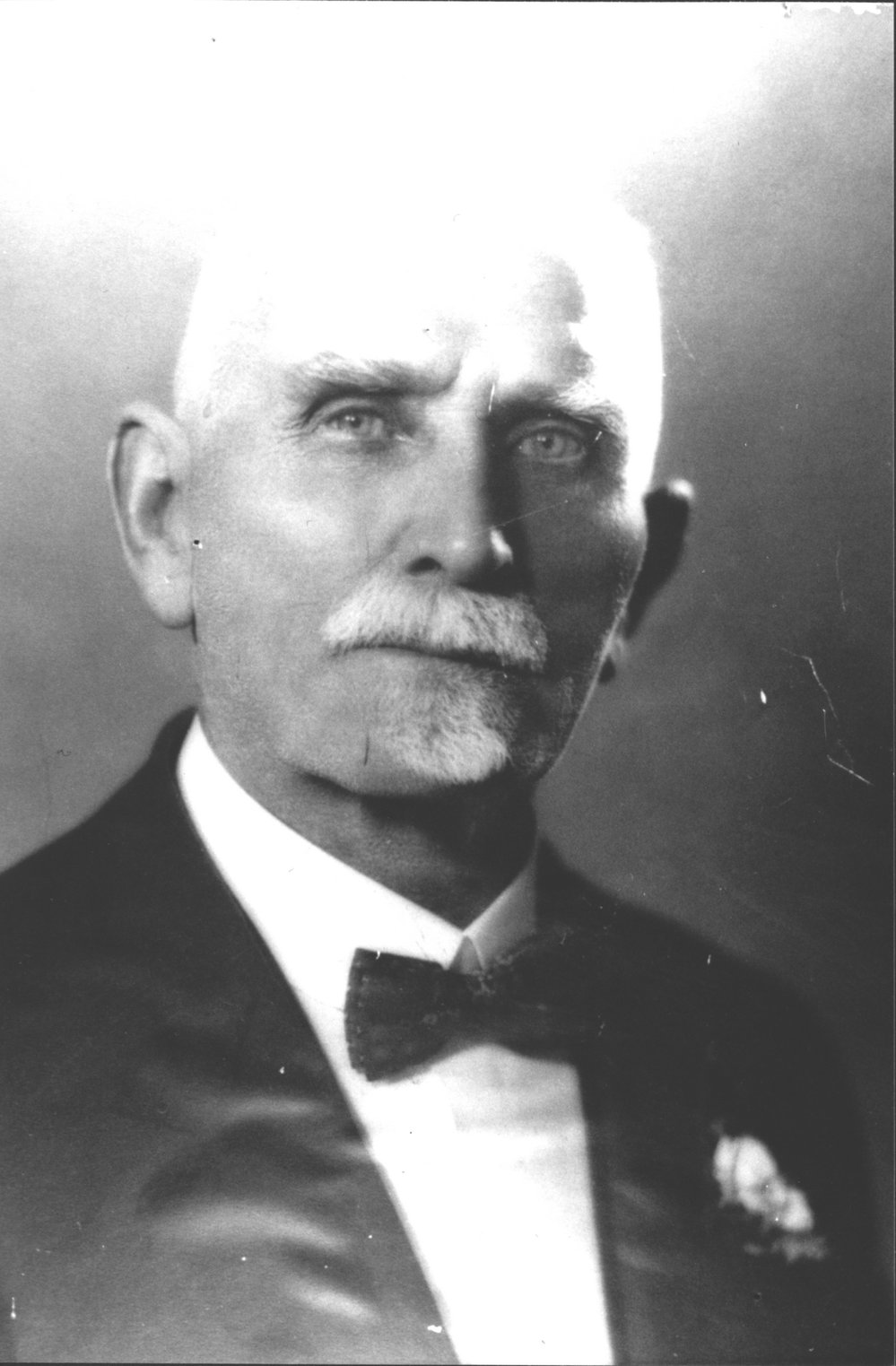 Portrait of an unknown gentleman