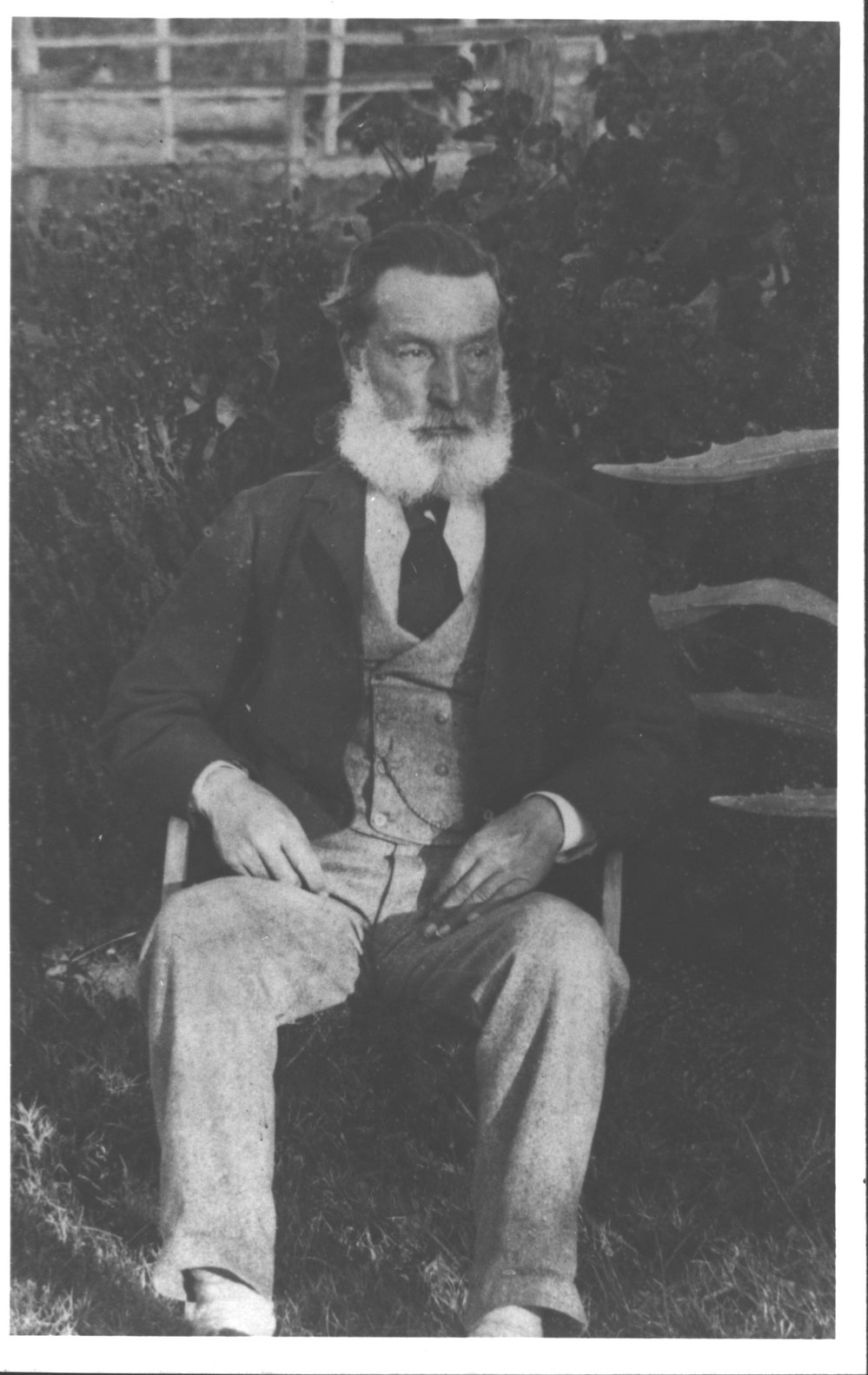 Portrait of Mr William Branch Campbell