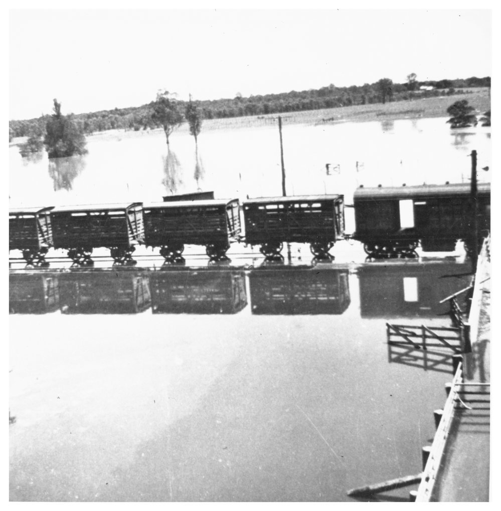 Floods at Riverstone Meatworks