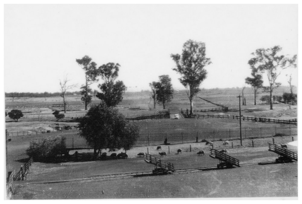 Riverstone Meatworks