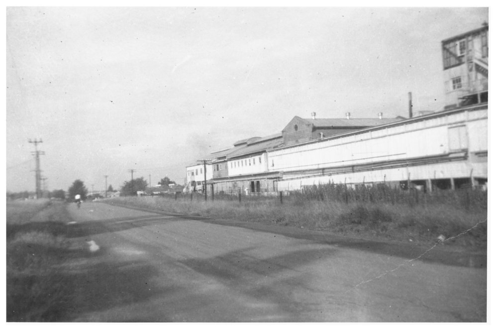 Riverstone Meatworks