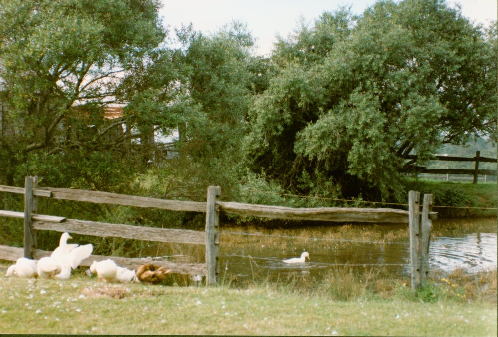 Rouse Hill House and Farm, Rouse Hill