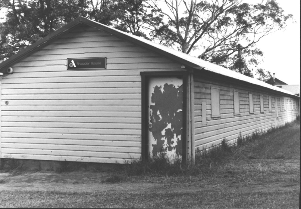 Grantham Poultry Research Station, Seven Hills