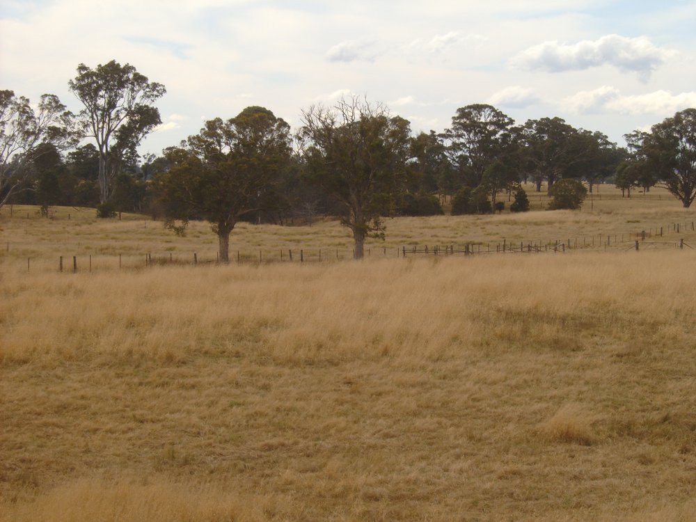 Site of St Phillip's Church and Cemetery, opposite Clydesdale, Richmond Road