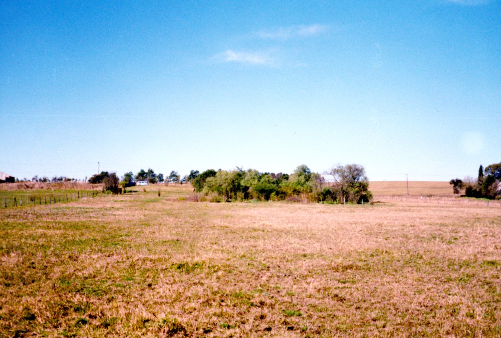 Site of the former Government Depot, Rooty Hill