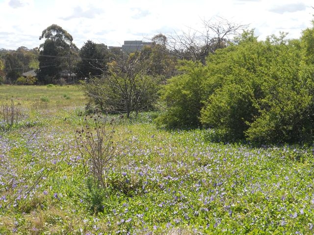 Site of the former Government Depot, Rooty Hill